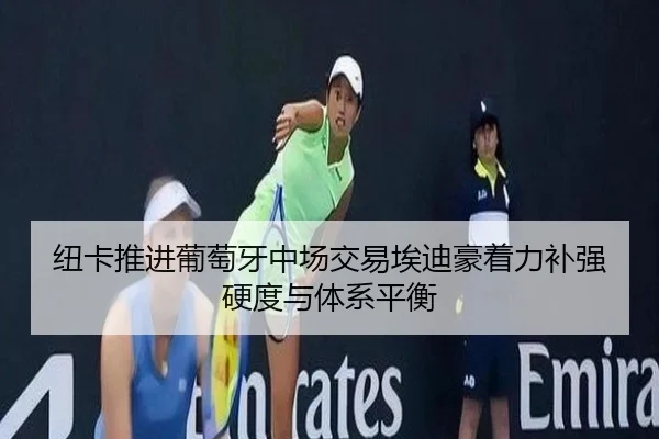 纽卡推进葡萄牙中场交易埃迪豪着力补强硬度与体系平衡